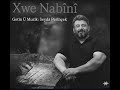 Seyda Perînçek Xwe Nabînî