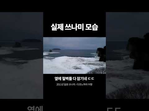 실제 쓰나미의 모습 (2배속)