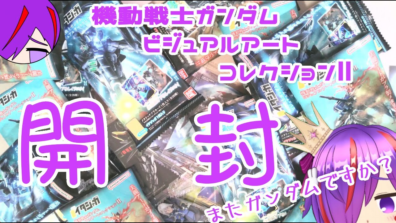 【ガンダムBACⅡ】ガンダムですけど、なにか【開封動画】