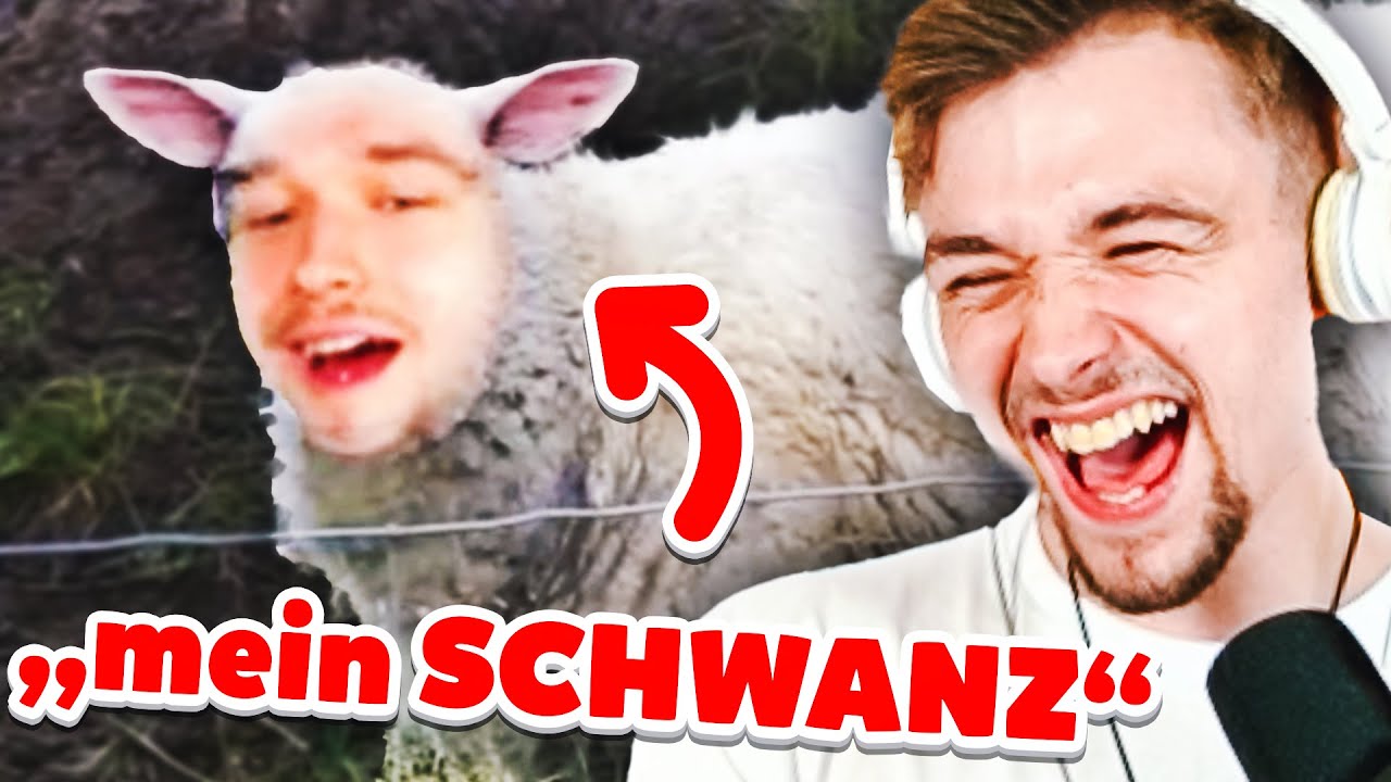 Das DÜMMSTE Dävid BEST OF aller Zeiten... 😂 | Dävid Reaktion