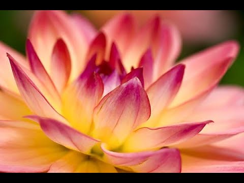 Vana Kunja - Чтение книги "Сокровища Сердца" (глава 4), 15.12.2021