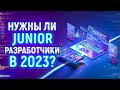 Нужны ли Junior Программисты в 2023 году