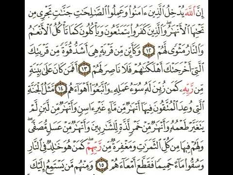 مقرر الحفظ للصف الثاني عشر إسلامية سوره محمد ايه 12 15 بصوت ياسر الدوسري