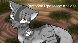 Тест &quot;Угадай кота-воителя&quot; / Как хорошо ты знаешь КВ?