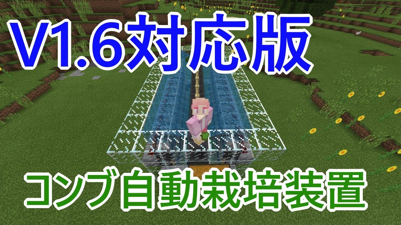 けいまるクラフト 緊急番外編 Be1 6対応版 コンブ自動栽培装置の作り方 マインクラフト 水のアップデート Minecraft Be Youtube