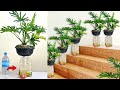 Creative Ways to Self Watering System for Plants / Recycling Plastic Bottles into Flower Pots