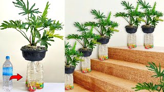 Creative Ways to Self Watering System for Plants / Recycling Plastic Bottles into Flower Pots