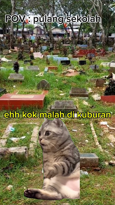 Pulang sekolah #lucu #lucu #kucingmeme #meme #shortvideo #sekolah
