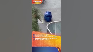 Á.N M.Ạ.NG RÚNG ĐỘNG: T.H.I T.H.Ể TRONG TÚI HÀNH LÝ Ở SẢNH CHUNG CƯ