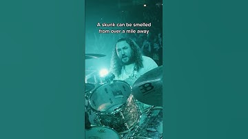 Random Facts at a Metal Show #iprevail #metal #music #rock #concert