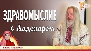 Здравомыслие с Ладозаром. Елена Андреева