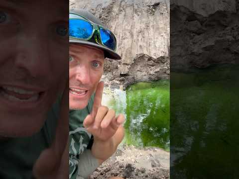Uploads from deermeatfordinner