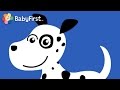 Bingo Song More Music Videos BabyFirst TV 
