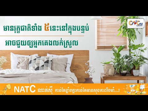 CNGTV | នាទីសុខភាព Ep.30  # មានរុក្ខជាតិទាំង ៥នេះនៅក្នុងបន្ទប់អាចជួយឲ្យអ្នកគេងលក់ស្រួល