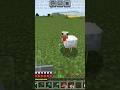 minecraft sad story😔😔 please yar like krdo #music #ytshort#song #viralvideo