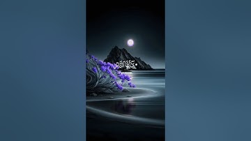 تلاوة خاشعة فارس عباد سورة فاطر #فارس_عباد #تلاوة_خاشعة #سورة_فاطر