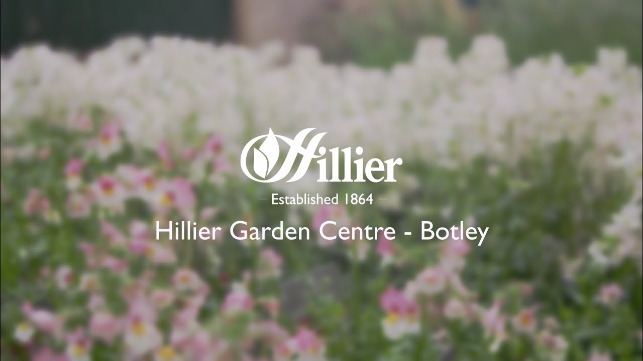 Hillier Garden Centre Botley Virtual Walkthrough YouTube