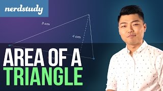 Area of a Triangle - Nerdstudy