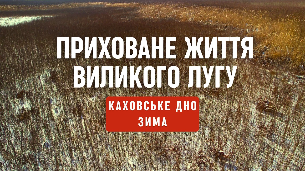 Приховане життя Виликого Лугу. Плавневі ліси, Очерета, рідкісні Птахи і Зима