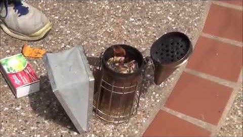 How to light a honeybee smoker, using pine needles