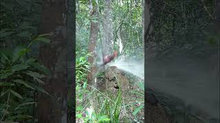 Powerful Bow Vs Coca Cola