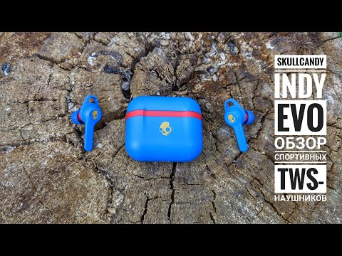 Skullcandy Indy Evo - Обзор спортивных TWS-наушников Skullcandy Indy Evo - Обзор спортивных TWS-наушников