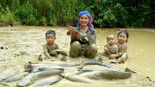 How to scoop up mud to catch giant fish to sell - Cook the fish for the kids to eat