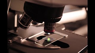 ALS YouTube Video | Wiki Audio Article: What is ALS What is Lou Gehrig's Science Explained