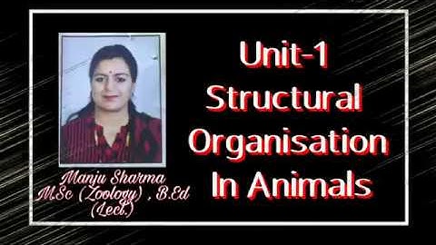 Unit -1 Structural Organisation In Animals For class 11th by Manju Mam #HarshNiktanHrSecSchool
