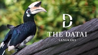 The Datai Langkawi - Arrival, Rainforest Villa Room Tour and More