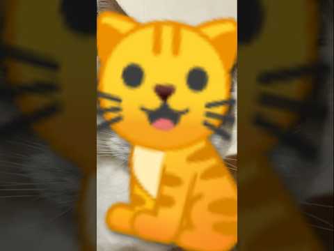 22 5 2025 Cute Viralvideo Cat Please Subscribe My Channel Please