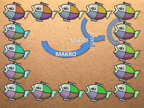 Video: Är artbildning makro eller mikroevolution?