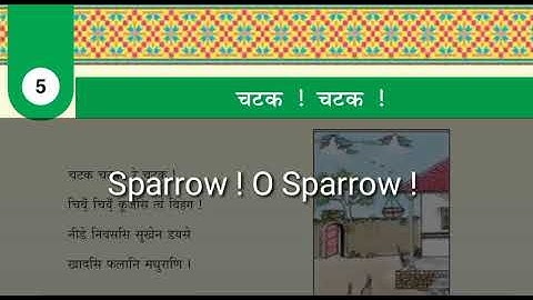 Chatak! Chatak! | Sparrow! O Sparrow! | Class 7 Sanskrit Chapter 5 Explanation in English & Hindi...