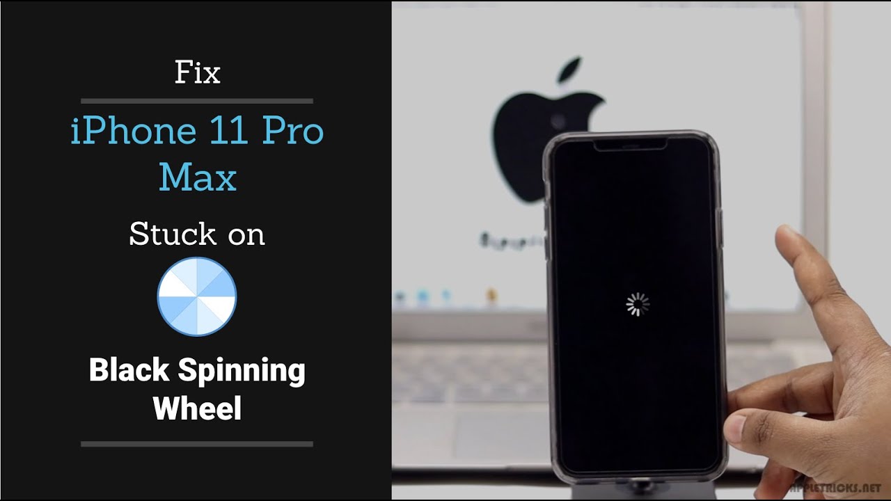 Fix iPhone 11 Pro Max Stuck on Black Screen Spinning Wheel