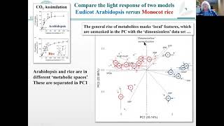 Download Lagu JXB 70th Anniversary Part 2 Mark Stitt MP3