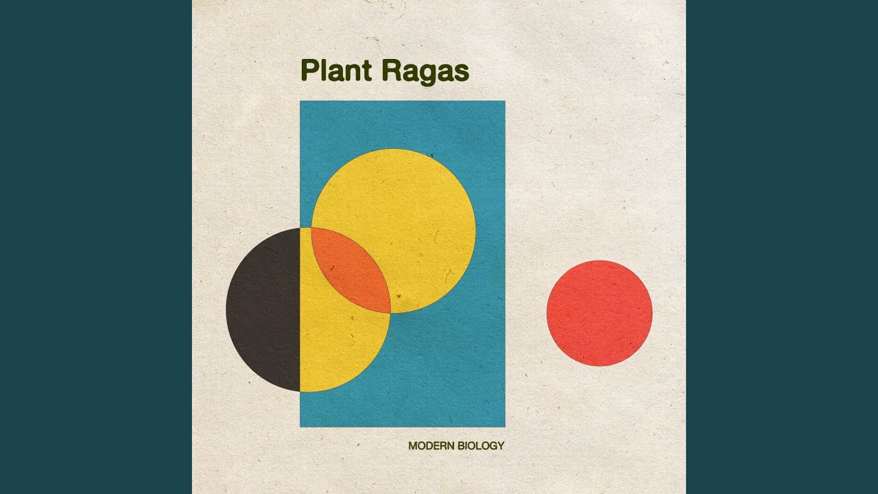 Bullwhip Kelp Characteristics