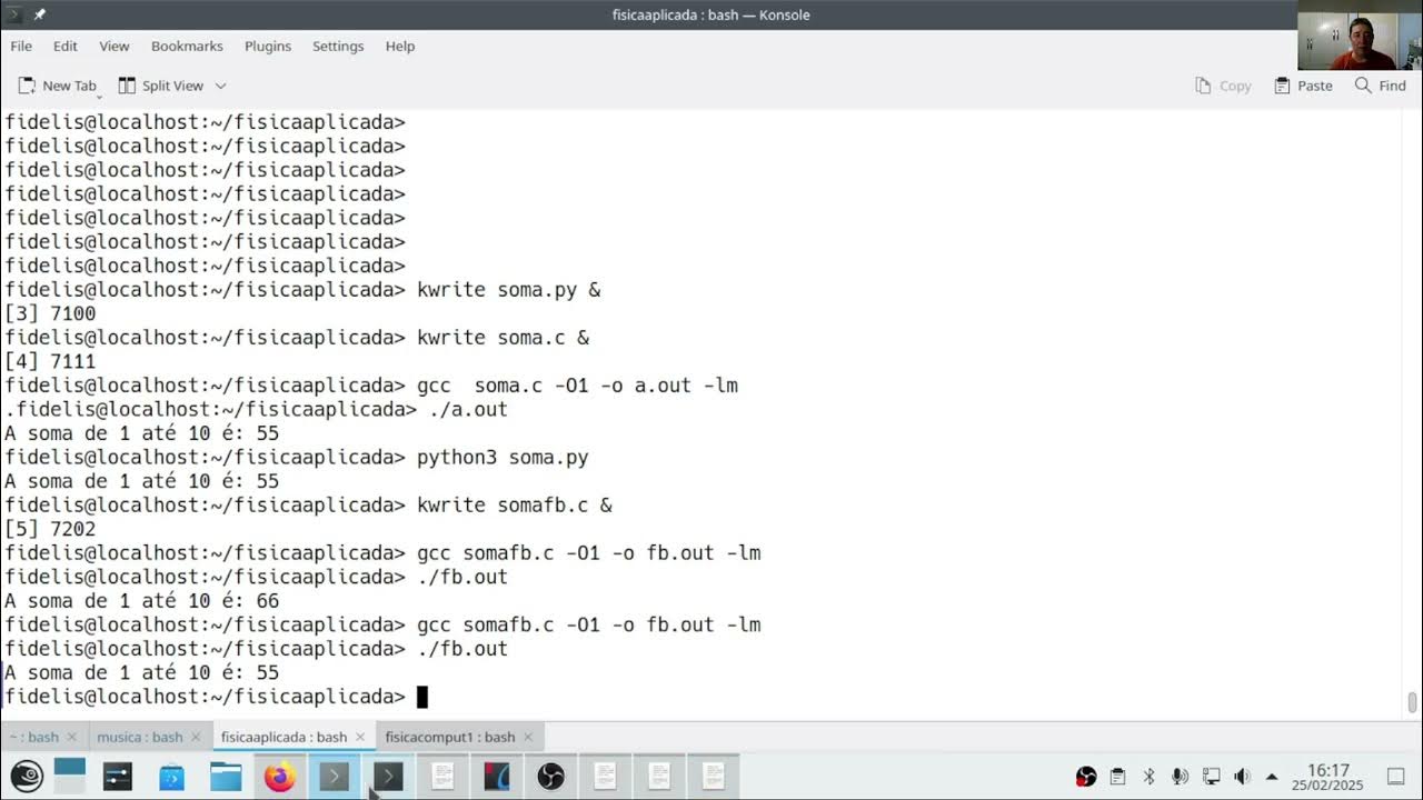 Física computacional 1 - Mais informações sobre loops (em