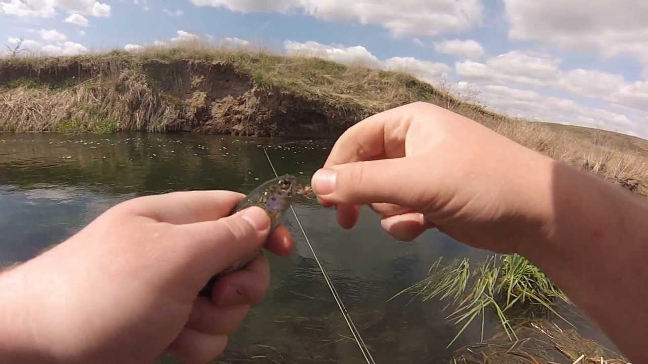 Fly fishing crab creek in eastern washington YouTube
