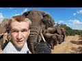 Photographer captures incredible encounter with a herd of elephants.