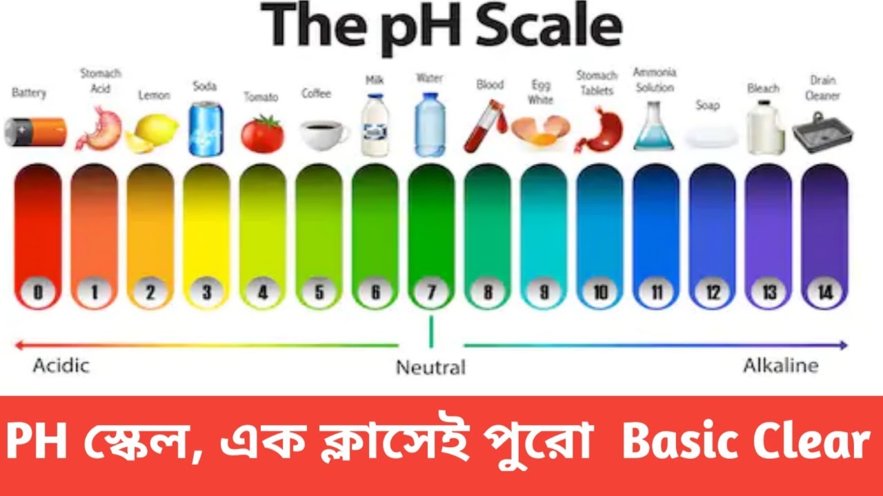 Ph Ph ph-ph