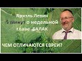 Ариэль Левин | 5 минут о недельной главе  БАЛАК | ЧЕМ ОТЛИЧАЮТСЯ ЕВРЕИ