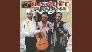 Video thumbnail of "Trio Gušt - Konoba Mix"