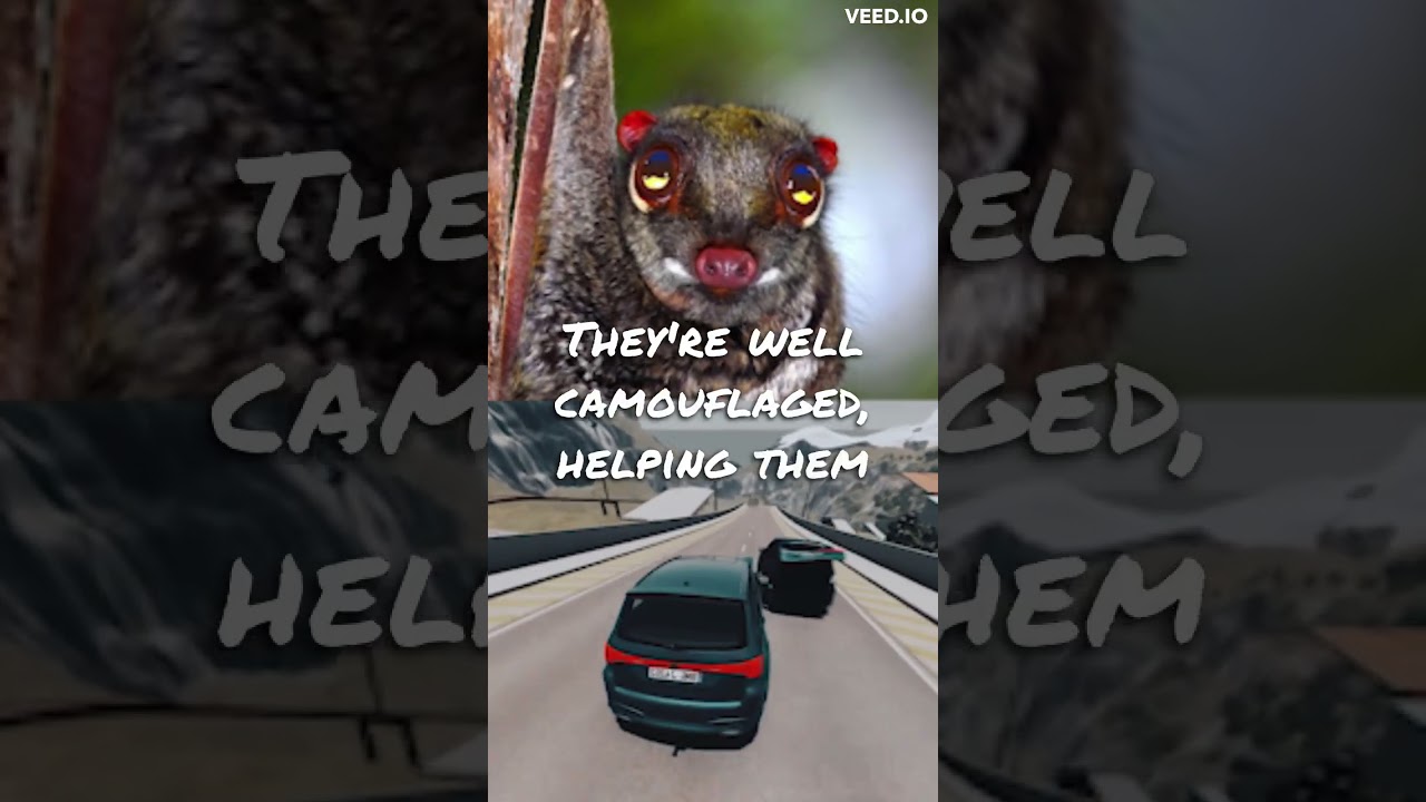 Sunda Colugo Secrets: A Deep Dive into the Flying Lemur | BeastBytez Explains #2