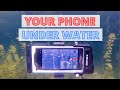 Phone Underwater Housing | DiveVolk - SeaTouch 3 | Unpacking / Settings / Real Underwater Footage