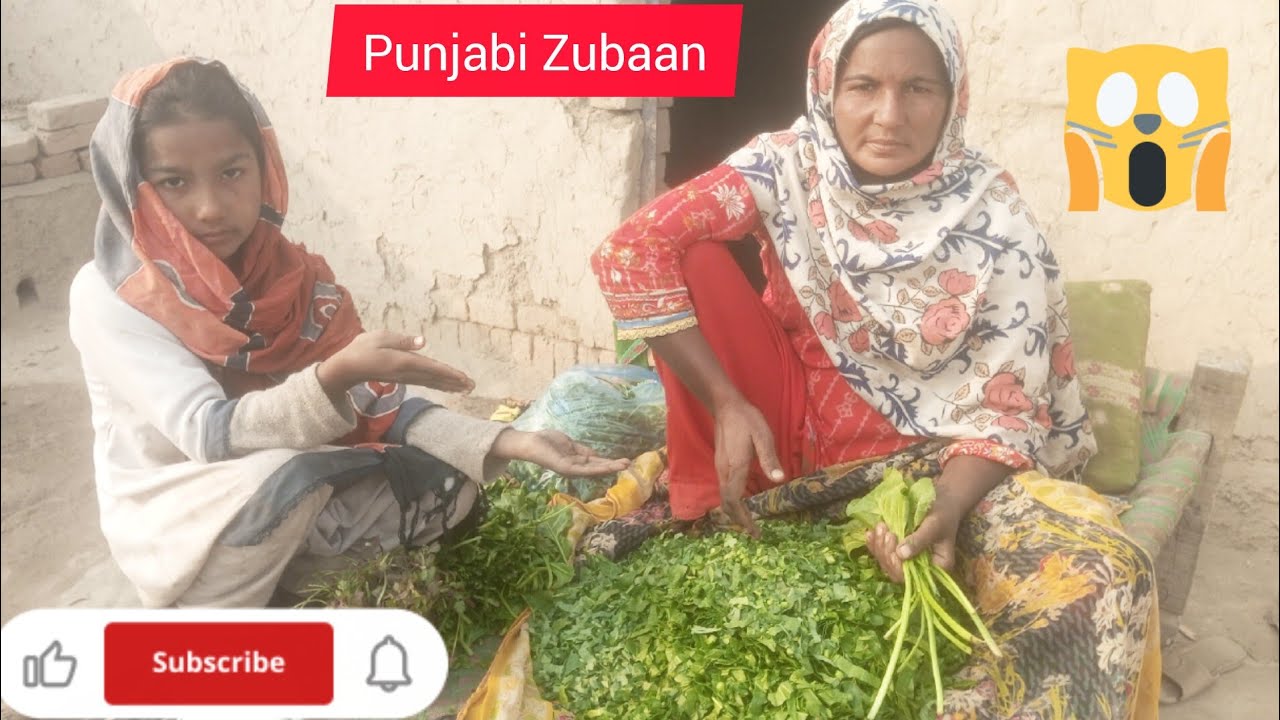 Punjabi Zubaan please like share