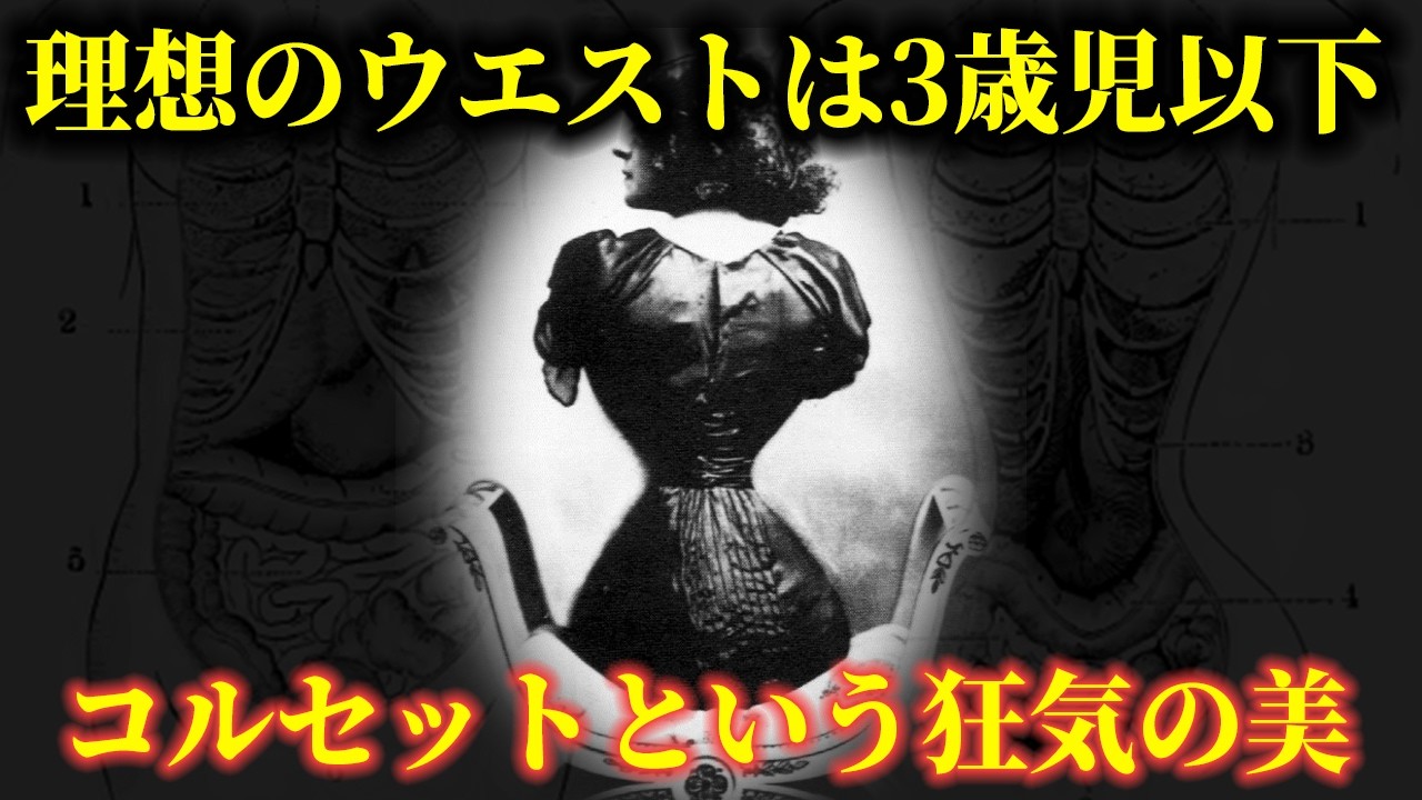 【ゆっくり解説】なぜ女性たちは気絶するほど締め上げたのか、コルセットの歴史【歴史解説】