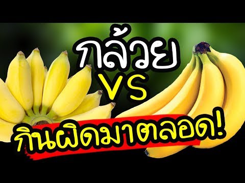กินผิดมาตลอด..!!! "กล้วยน้ำว้า VS กล้วยหอม" แบบไหน ? ได้ประโยชน์สูงสุด | Nava DIY