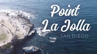 Diving Point La Jolla in San Diego | Sargo for Fish Tacos