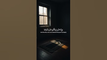 تلاوة خاشعة للشيخ محمد  اللحيدان 🤍🤍#قرآن #تلاوة_خاشعة #القرآن_الكريم #خشوع #قرآن_كريم #القرآن