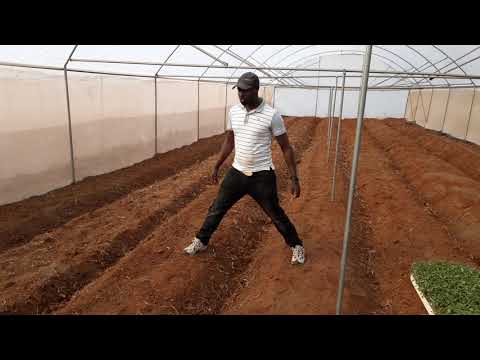 ⁣Quality Greenhouses in Kenya